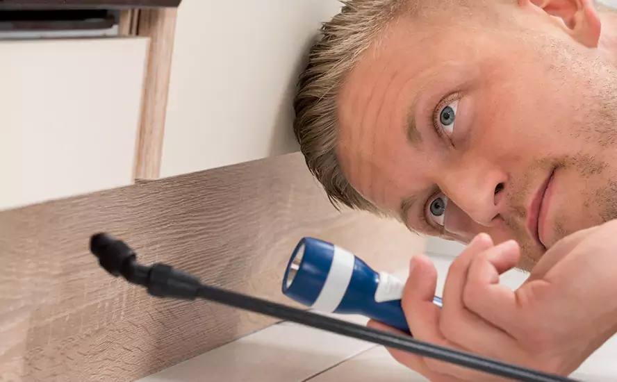 Top-Notch Pest Control in Oceanside