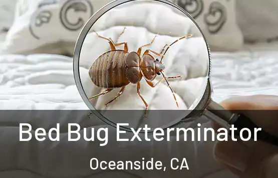  Bed Bug Exterminator Oceanside, CA
