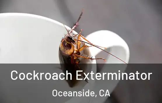  Cockroach Exterminator Oceanside, CA
