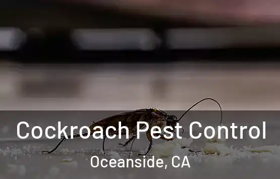  Cockroach Pest Control Oceanside, CA