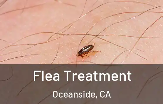  Flea Treatment Oceanside, CA