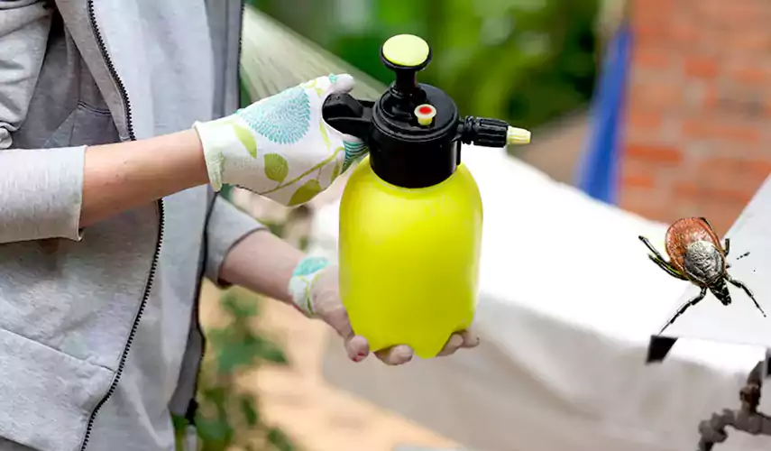 Ticks Pest Control Oceanside, California