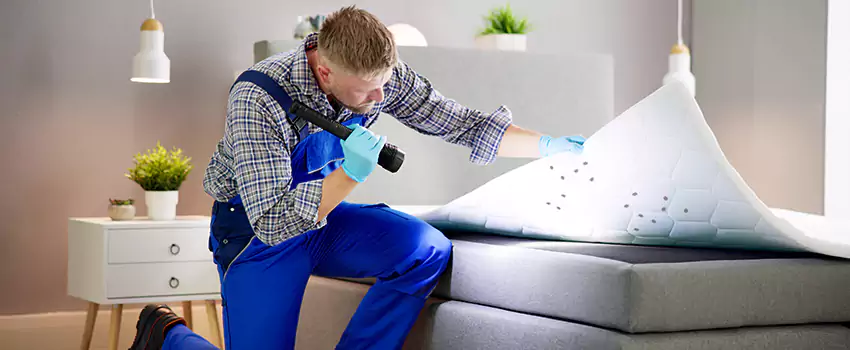 bed-bug-treatment in Oceanside, CA