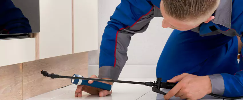 Commercial Pest Control for Offices in Oceanside, CA