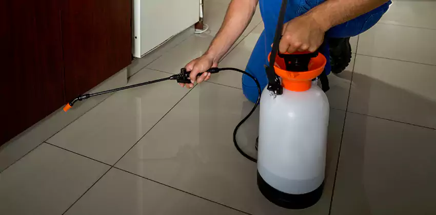 Commercial Pest Extermination for Offices in Oceanside, CA