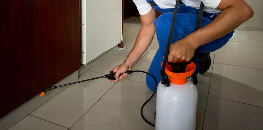Commercial Flea Exterminator Company in Oceanside, CA