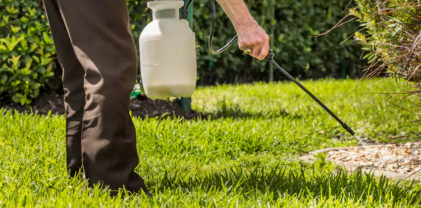 Grub Treatment for Bedrooms Oceanside, CA