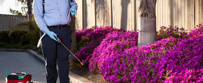 Commercial Mosquito Control Services in Oceanside, CA
