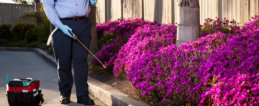 Pest Extermination for Bedrooms in Oceanside, CA
