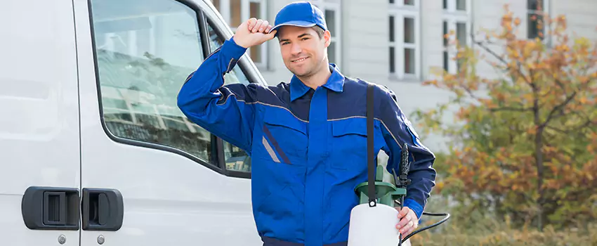 Organic and Chemical Spider Control Options Oceanside, CA