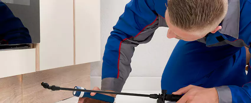 Termite Control for Children and Pets in Oceanside, CA