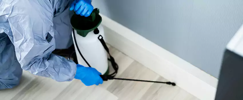 cockroach-exterminator in Oceanside, CA