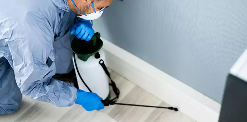 commercial-pest-exterminator in Oceanside, CA
