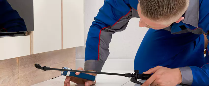 Pest Exterminator Company in Oceanside, CA