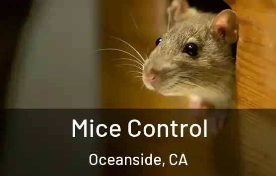  Mice Control Oceanside, CA