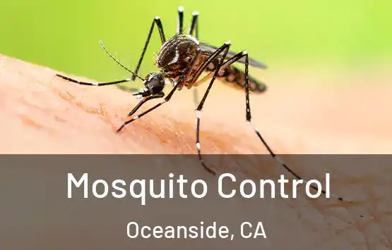  Mosquito Control Oceanside, CA
