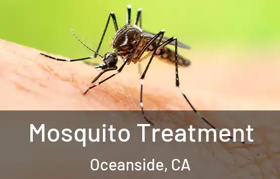  Mosquito Treatment Oceanside, CA