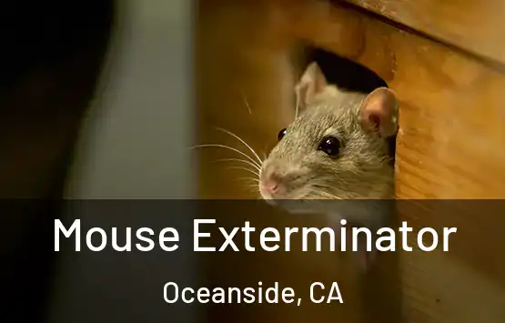 Mouse Exterminator Oceanside, CA