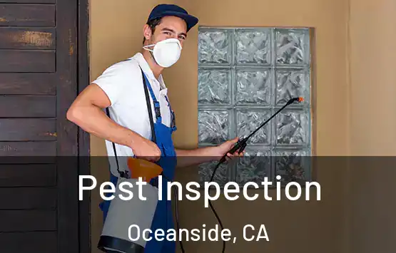  Pest Inspection Oceanside, CA