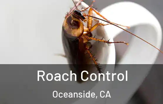  Roach Control Oceanside, CA