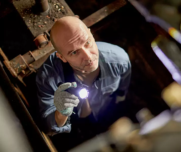 About Pest Inspection Oceanside