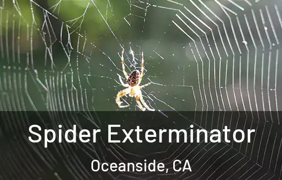  Spider Exterminator Oceanside, CA