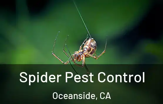  Spider Pest Control Oceanside, CA