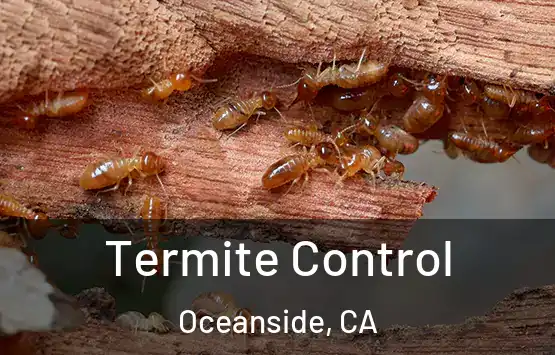  Termite Control Oceanside, CA