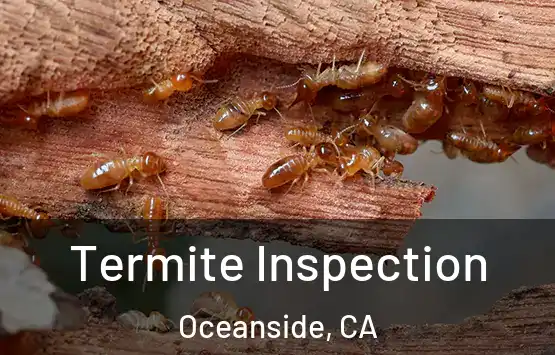  Termite Inspection Oceanside, CA