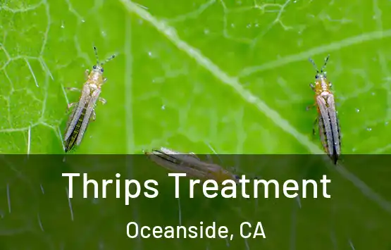  Thrips Treatment Oceanside, CA