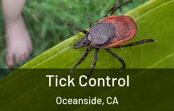  Tick Control Oceanside, CA