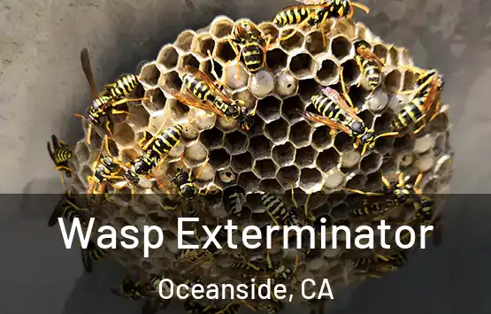  Wasp Exterminator Oceanside, CA
